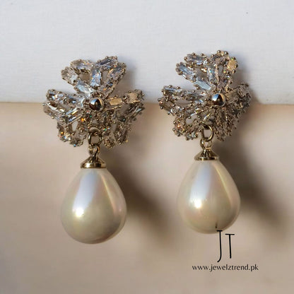 Luxury Silver Gleam: Earrings