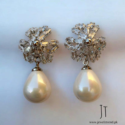 Luxury Silver Gleam: Earrings